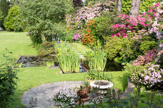 Pond & Garden Impression
